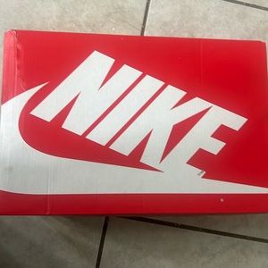 Brand new 2024 dunks I only used them 1 time